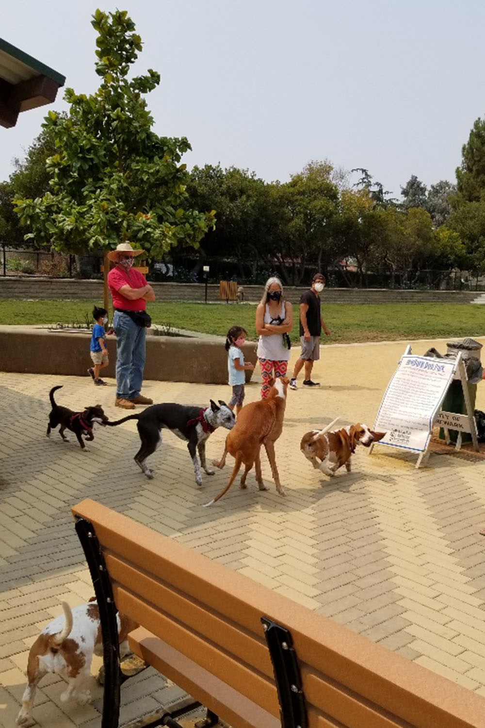 NewBark Dog Park